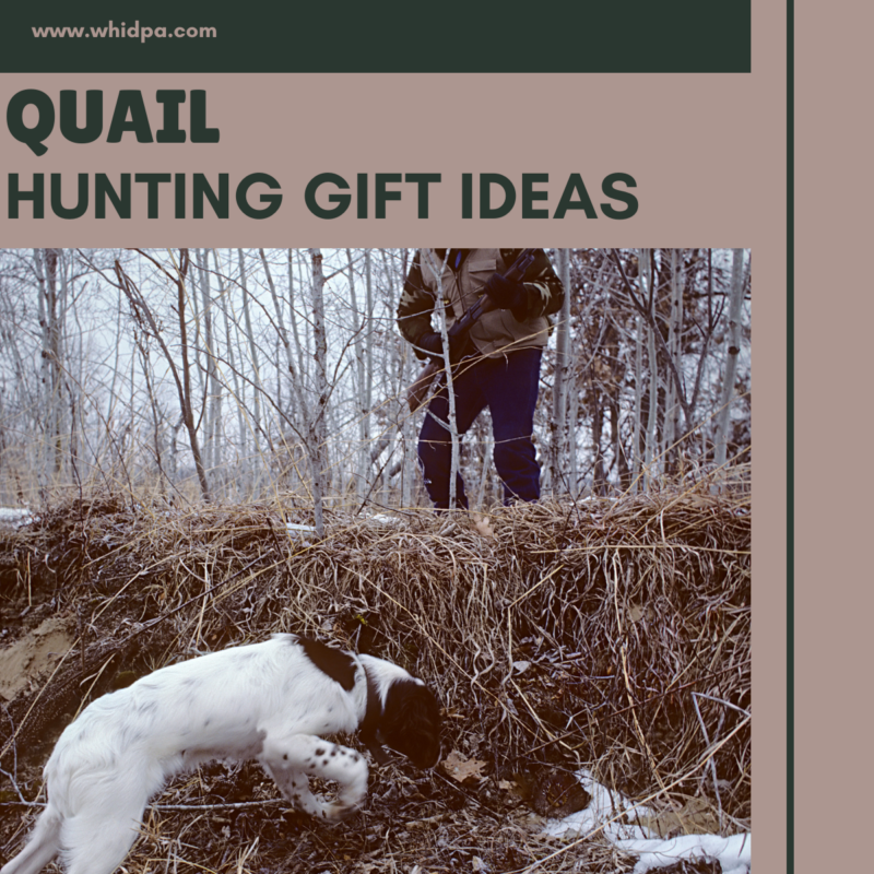 Quail Hunting Gift Ideas