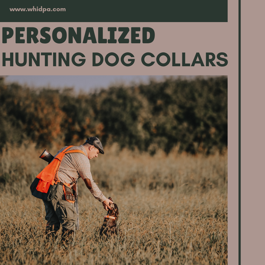 Personalized Hunting Dog Collars